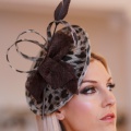 leopard print occasion wear hat