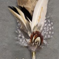 Grooms style - feathered jewellery