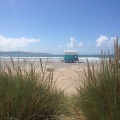 The Hungry Horse Box Cornwall