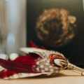 red pheasant feather country pin