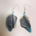 blue jay, macaw and partridge feather earrings