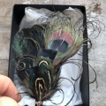 Black peacock feather brooch