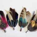 feather-hair-clips