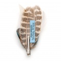 back view of the hair clip