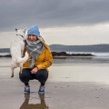 Gwithian beach hungry horse box