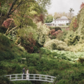 Trebah Garden wedding venue Cornwall