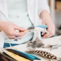 feather corsage hat and lapel pins