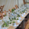 succulent wedding table decorations