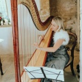 harpist