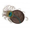 peacock crystal hair comb