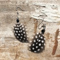 guinea fowl feather earrings