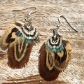 pheasant feather earrings