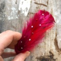 Swarovski Crystals on red feathers
