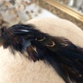 Black pheasant feather headband