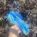 Blue and turquoise feather headband with crystals