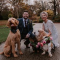 Real bride and groom with dogs Bailey and Mitchell Photography