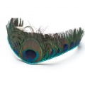 Holly-Young-peacock-feather-tiara-